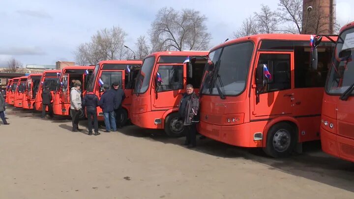 Вместо автобуса. Вместо автобуса