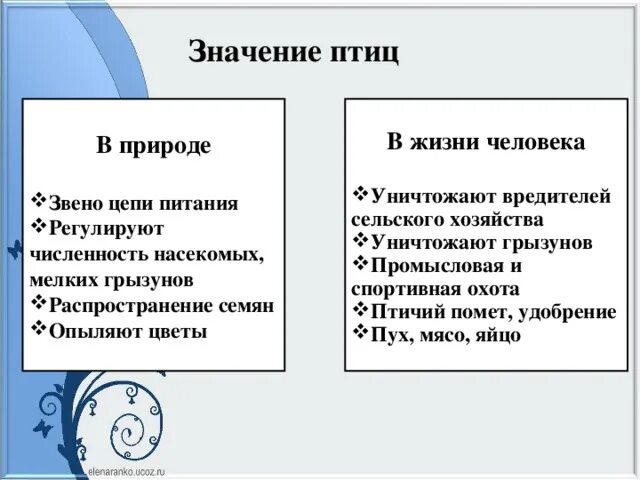 Биология 7 класс значение птиц в природе