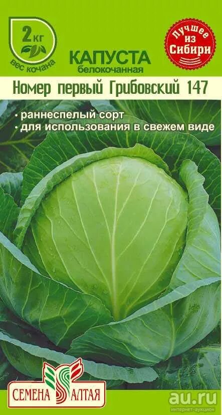 Капуста номер первый грибовский. Капуста Грибовский 147. Капуста Грибовский номер 1. Капуста ранняя Грибовская 147. Капуста белокочанная Грибовский.