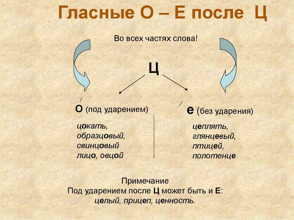 Правило гласные о е ё после шипящих и ц. Правописание о е после ц. Употребление гласных букв о/е (ё) после шипящих. Гласные о е после ц.