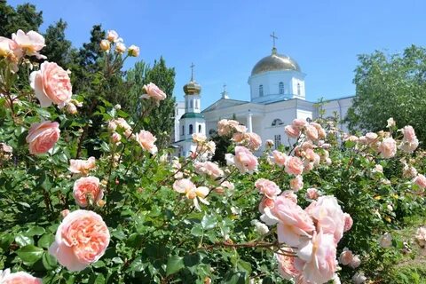 Духовой день