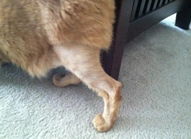 Ноги в окне. Женщина выпрыгнула из окна с детьми. Прочь грусть. Выбросила ребенка из окна. Мона выпала.