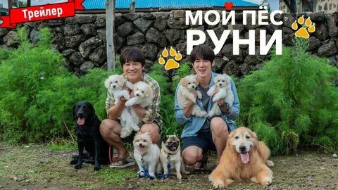 Мой пес руни