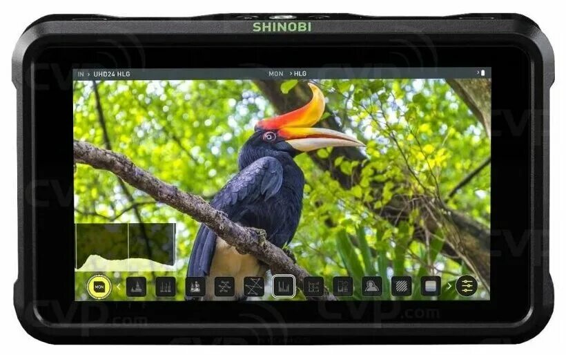 Atomos shinobi. Монитор atomos shinobi hdmi. видоискатель atomos shinobi.