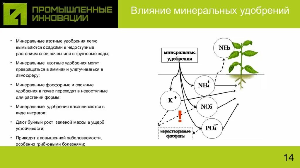 Влияние Минеральных удобрений на растения. Азотные удобрения влияние. Влияние Минеральных удобрений на рост растений. Влияние органических удобрений на растения. Влияние минеральной воды на растения