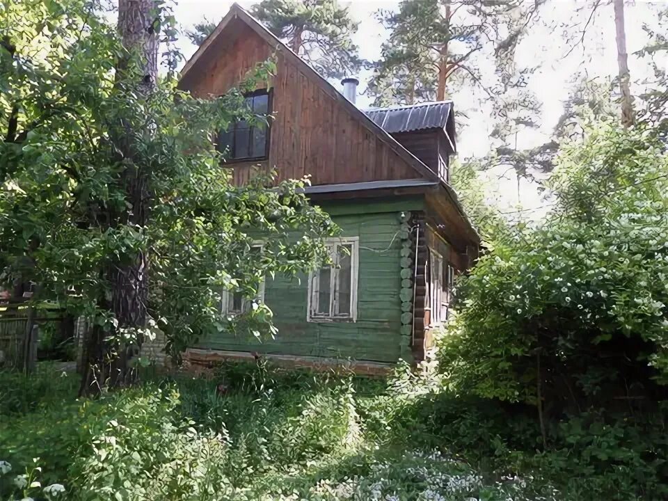 Лесное 53