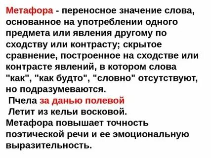 Феномен смысла