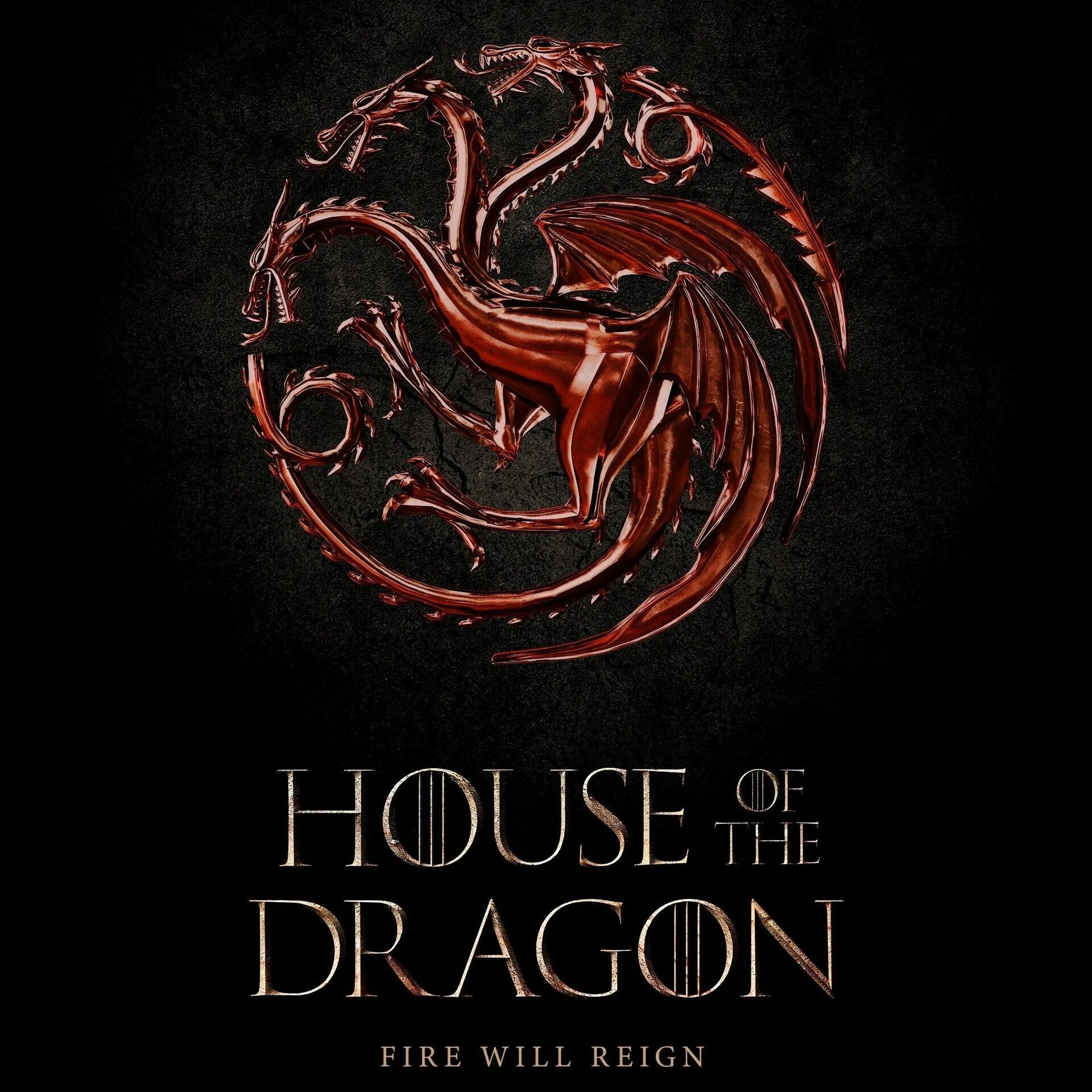 House of the dragon x reader
