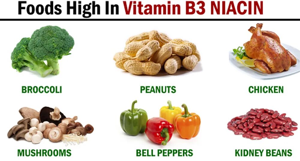 Продукты с витамином в 3. Витамин рр (никотиновая кислота) содержится в:. Витамин в3 ниацин в продуктах. Продукты содержащие витамин ниацин. Источники витамина рр в продуктах питания.