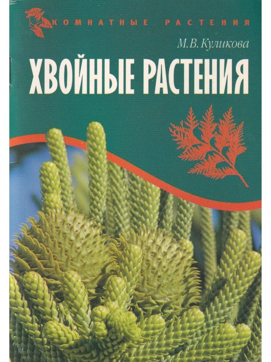 Книги хвойных. Книги про хвойные растения. Книги о комнатных растениях. Хвойное книжка. Заболевания роз и хвойных книжка.