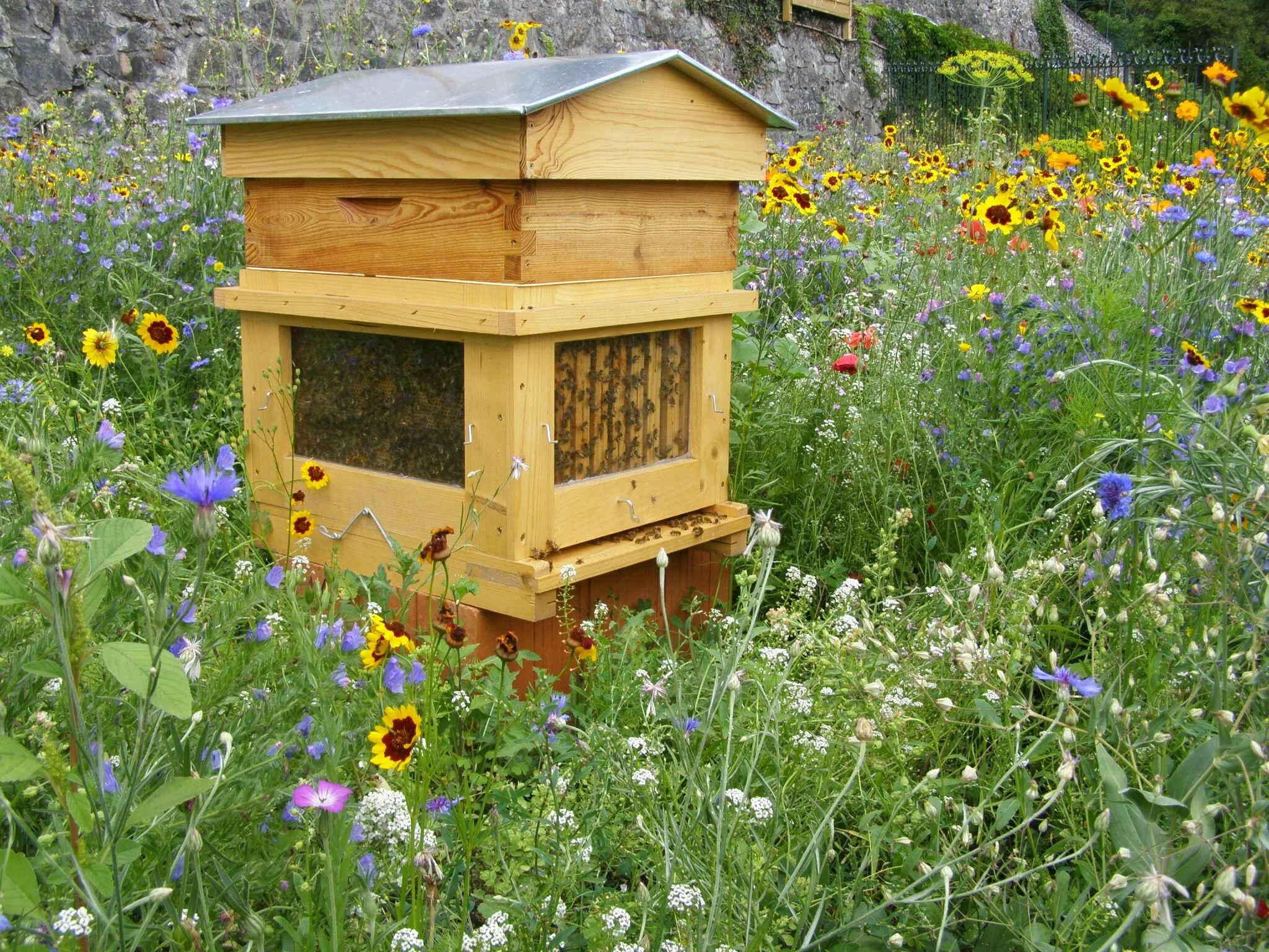 Валей улей. Бихайв («пчелиный улей»).. улей bee easy. улей домик. декоративный улей для сада.