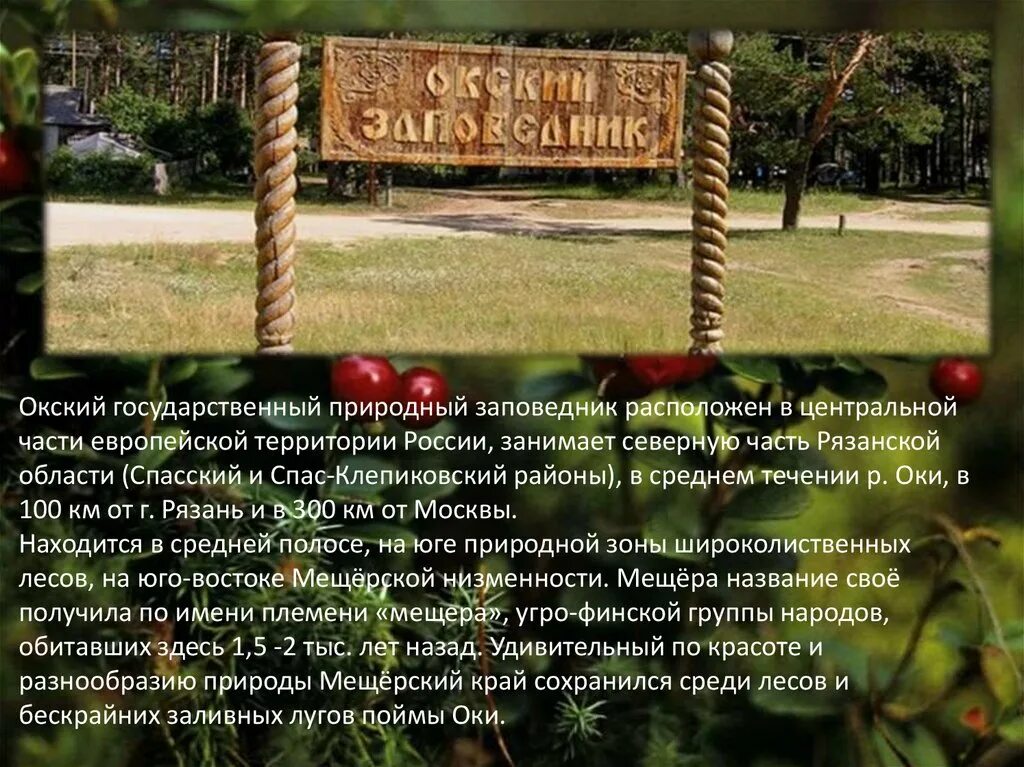 Мещера окский заповедник. Поздравляем заповедник. Музей в окском заповеднике рязанской области. Мещера окский заповедник. Окский биосферный заповедник.