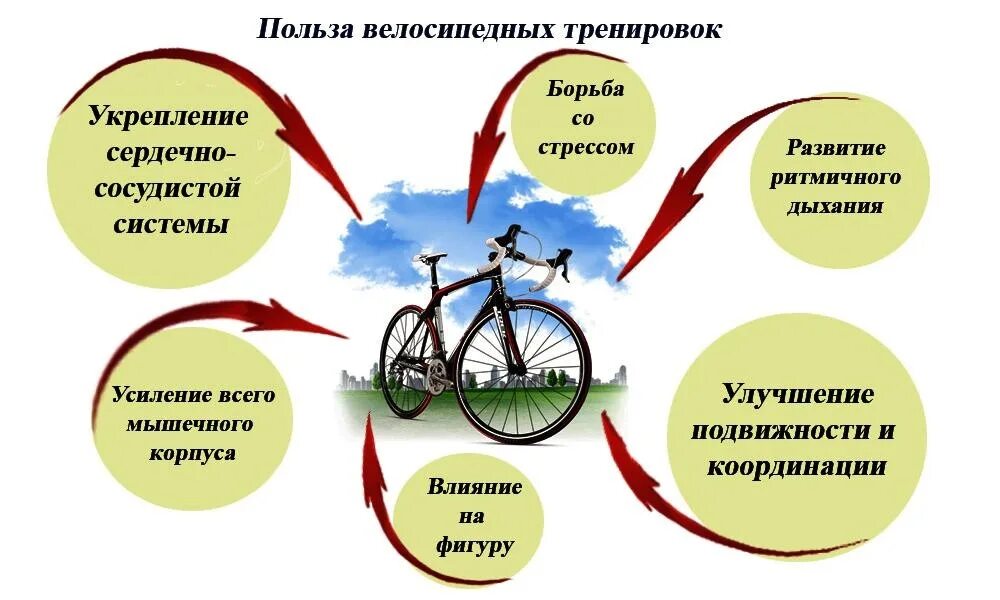 Влияние велосипеда на здоровье человека. Велосипед и здоровье. Велосипед полезно для здоровья. Езда на велосипеде польза.