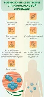 Как избавиться от стафилококка в организме навсегда