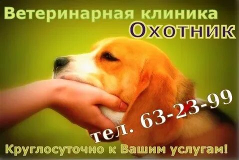 Ветеринарная круглосуточно рядом