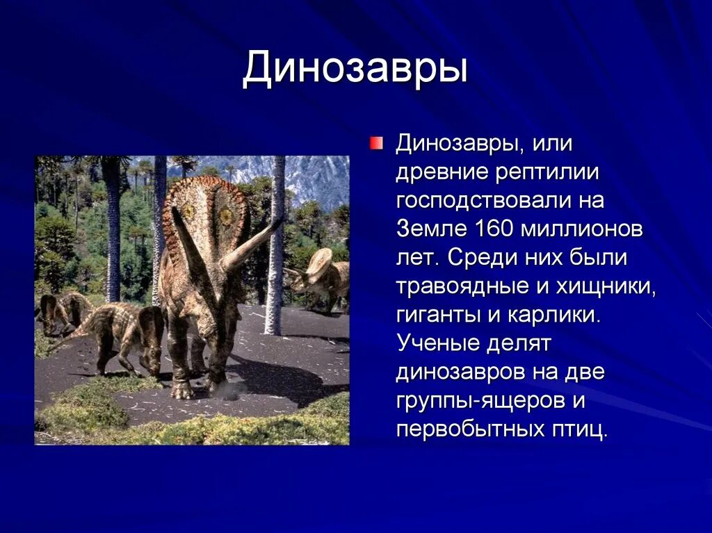 Сообщение на тему древние животные. Презентация древние животные. сообщение о древних животных. древние животные доклад. древние хищные животные земли.