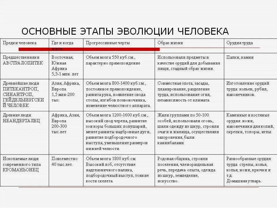 Этапы эволюции человека таблица этапы характеристика. Стадия развития человека таблица по биологии. Основные стадии эволюции человека таблица по биологии 8 класс. Таблица основных этапов эволюции человека. Этапы антропогенеза биология