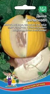 Дыня награда