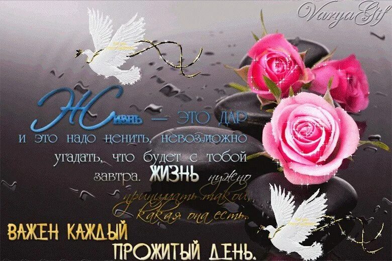 Прошлое цитаты мудрые. Не каждому быть живу. Не всем дано так щедро жить на память людям города дарить. Надо жить каждый день как последний. Цитаты о прожитой жизни.