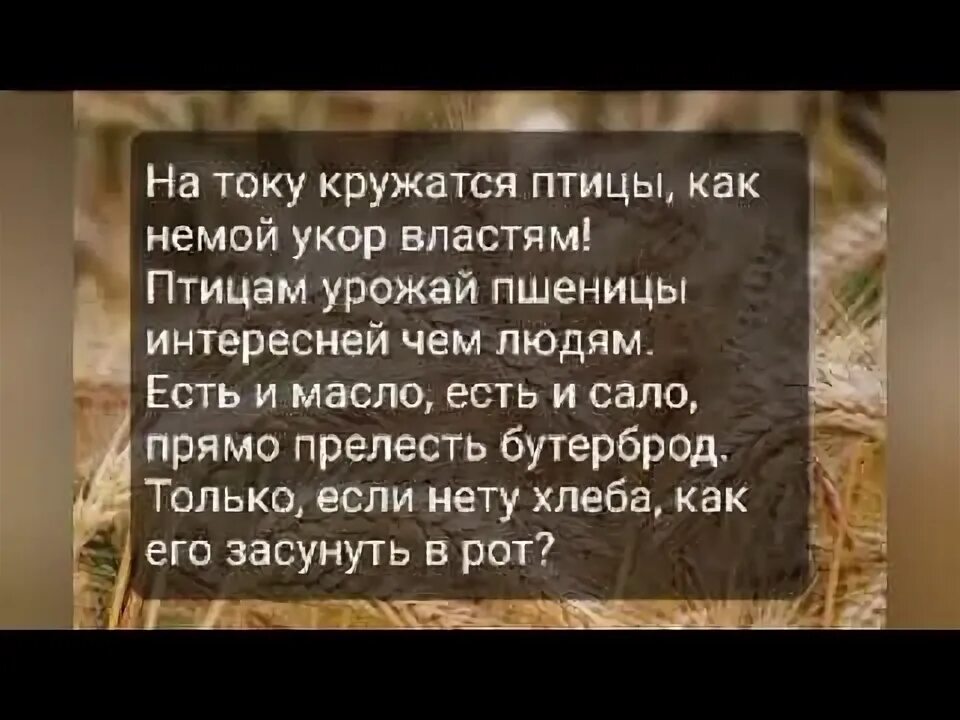 Песня про хлеб из сватов. Текст песни из сватов про хлеб.