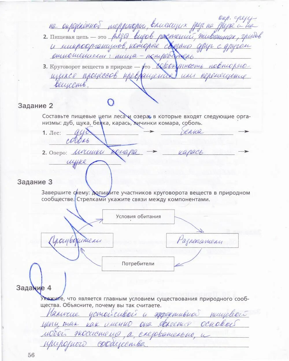 Биология 5 класс стр 21. Главное условие существования природного сообщества 5 класс биология. Биология 5 класс стр 73 ответы. Биология рабочая тетрадь 6 класс пдф.