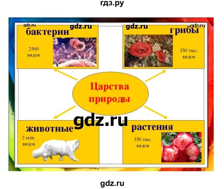 Биология 20 параграф 6 класс краткое содержание. Методички по биологии 5 класс Плешаков Введенский.