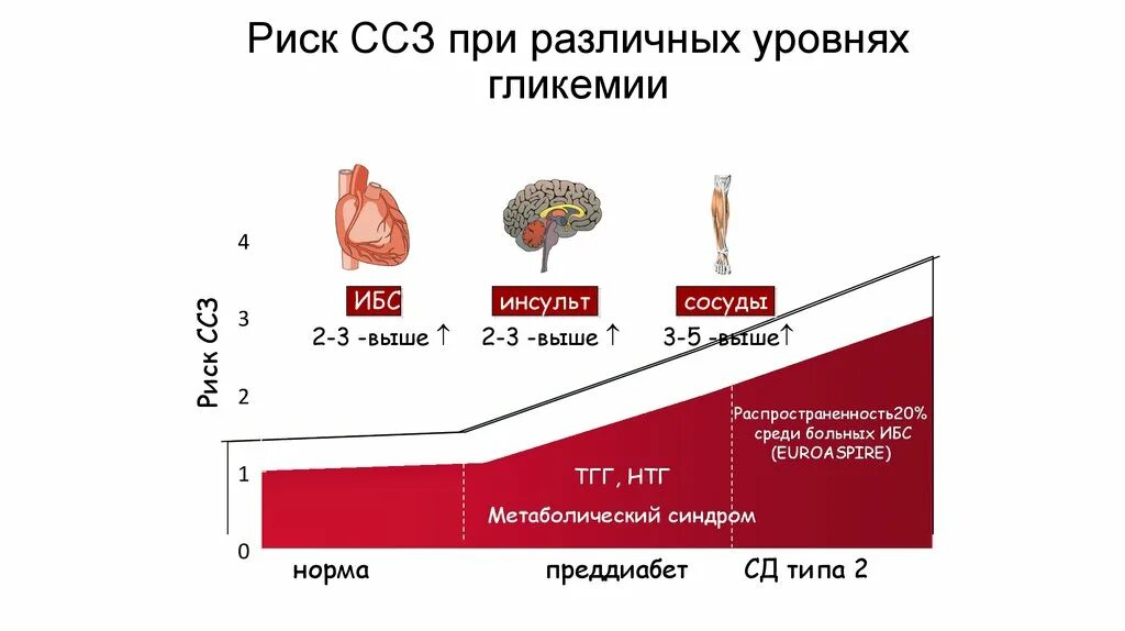 Риск ССЗ. Риски сердечно-сосудистых заболеваний. Риски ССС заболеваний. Риски сердечно-сосудистых осложнений.