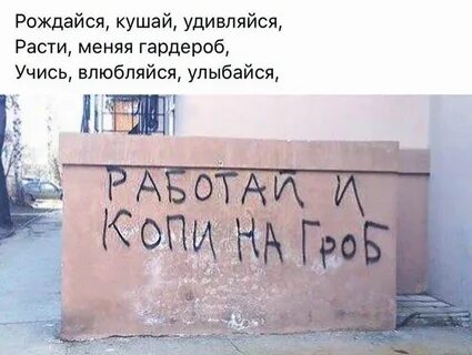 Учились влюблялись