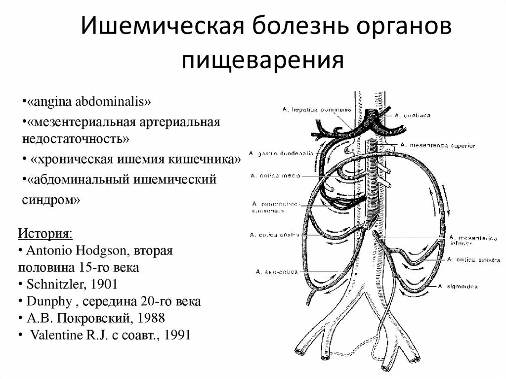 Мезентериальная ишемия. Ишемическая болезнь органов пищеварения клинические рекомендации. Хроническая ишемия органов пищеварения. Ишемическая болезнь органов пищеварения Госпитальная хирургия. Хроническая ишемическая болезнь кишечника клинические рекомендации.