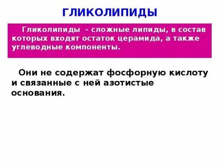 Состав строение свойства липидов