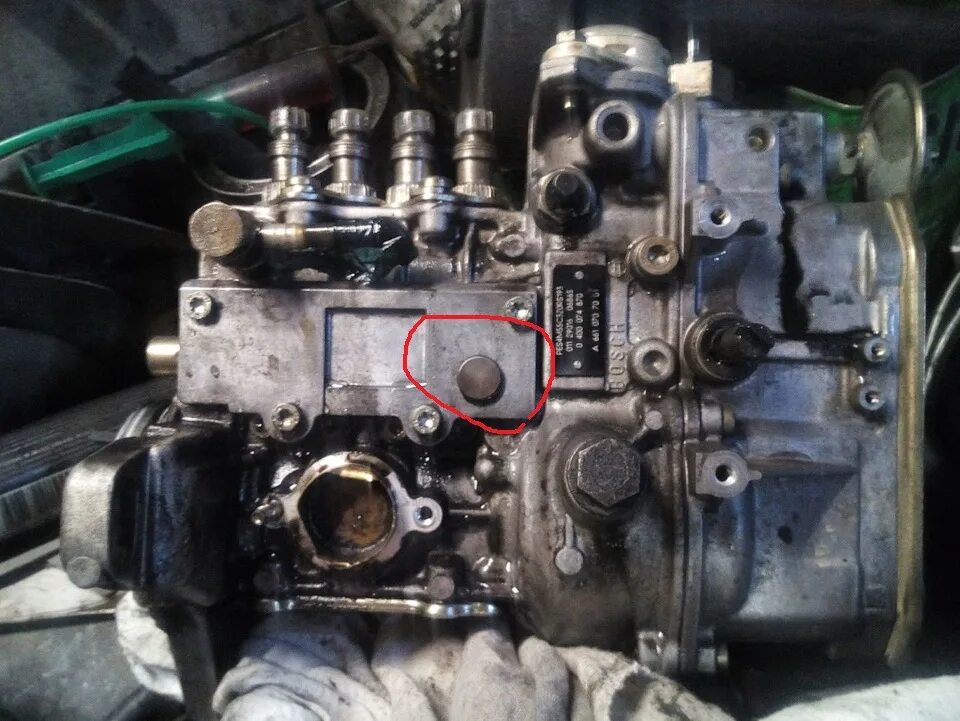 Тнвд муссо. Тнвд ssangyong musso 2.3. тнвд на санг енг муссо. колпачок тнвд 3.2. крышка тнвд рекстон 2.