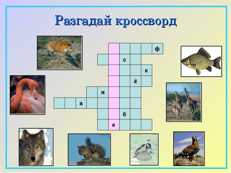 Окружающий мир 3 класс тест разнообразие животных. Кроссворд на тему животные. разгадай кроссворд. кроссворд по окружающему миру. кроссворд по теме животные.
