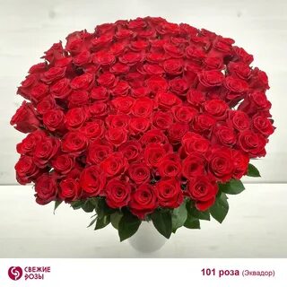 Розы пермь