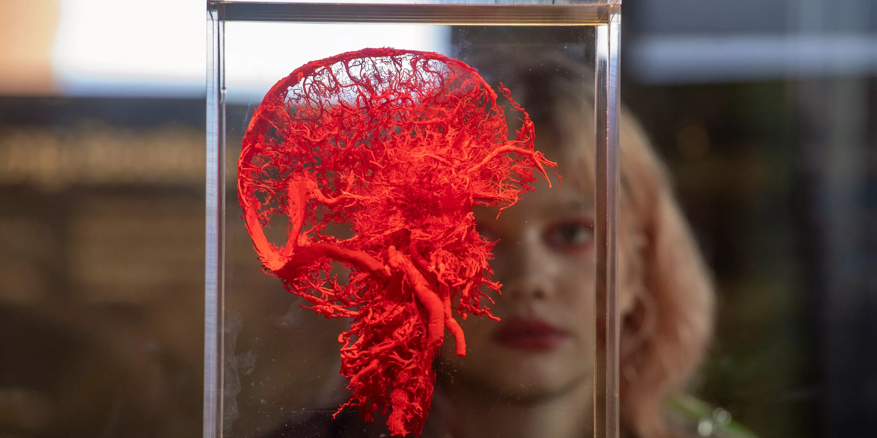 Solomon joseph solomon художник. Плоть женщины. 1979. "body worlds" (россия, москва). Бернини похищение прозерпины.