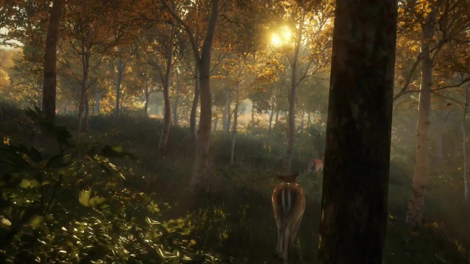 The hunter call of the wild мод. The hunter call of the wild vurhonga savanna. thehunter: call of the wild™ - vurhonga savanna. the hunter call of the wild битти лесные спасатели. the hunter call of the wild на икс бокс 360.