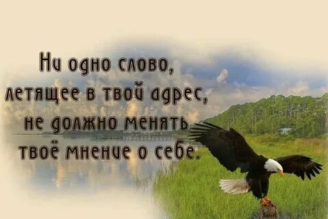 Твой адрес