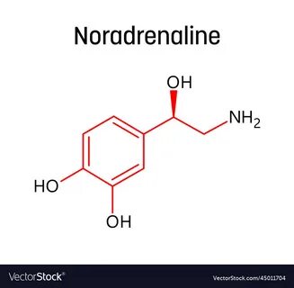 Noradrenaline это