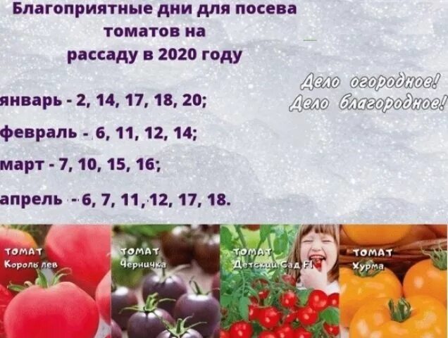 Посадка семян в апреле томатов. Благоприятные для посадкипомтдор. Благоприятные дни для посадки помидор. Благоприятные дни для рассады томатов. Благоприятыедни для пикировкипомидор.