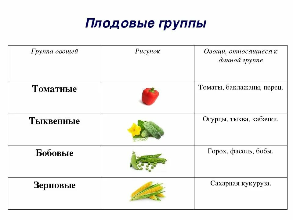 Что относится к овощным