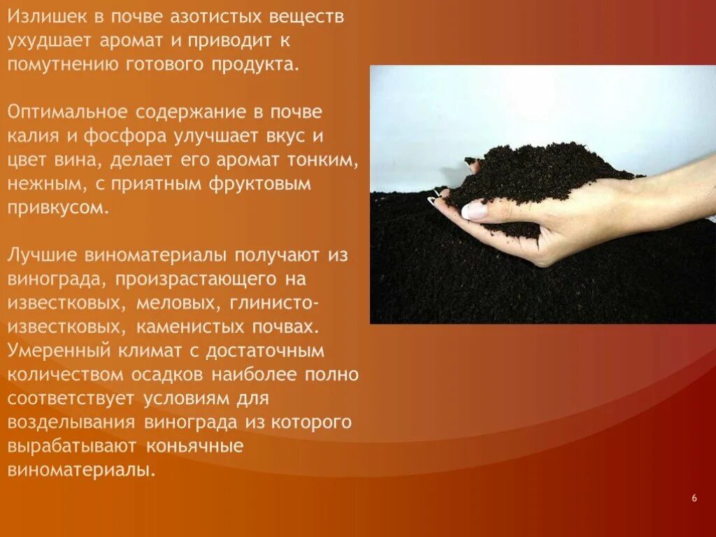 Избыток фосфора у растений. Избыток в почве. Ошибки в уходе за растениями. Нехватка бора у растений. Избыток в почве.