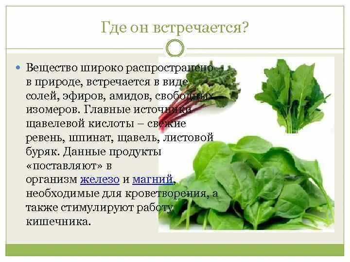 Женский орган в виде щавеля. Щавелевая кислота в щавеле. В щавеле содержится кислота. Щавельная кислота в природе. Ревень и щавель.