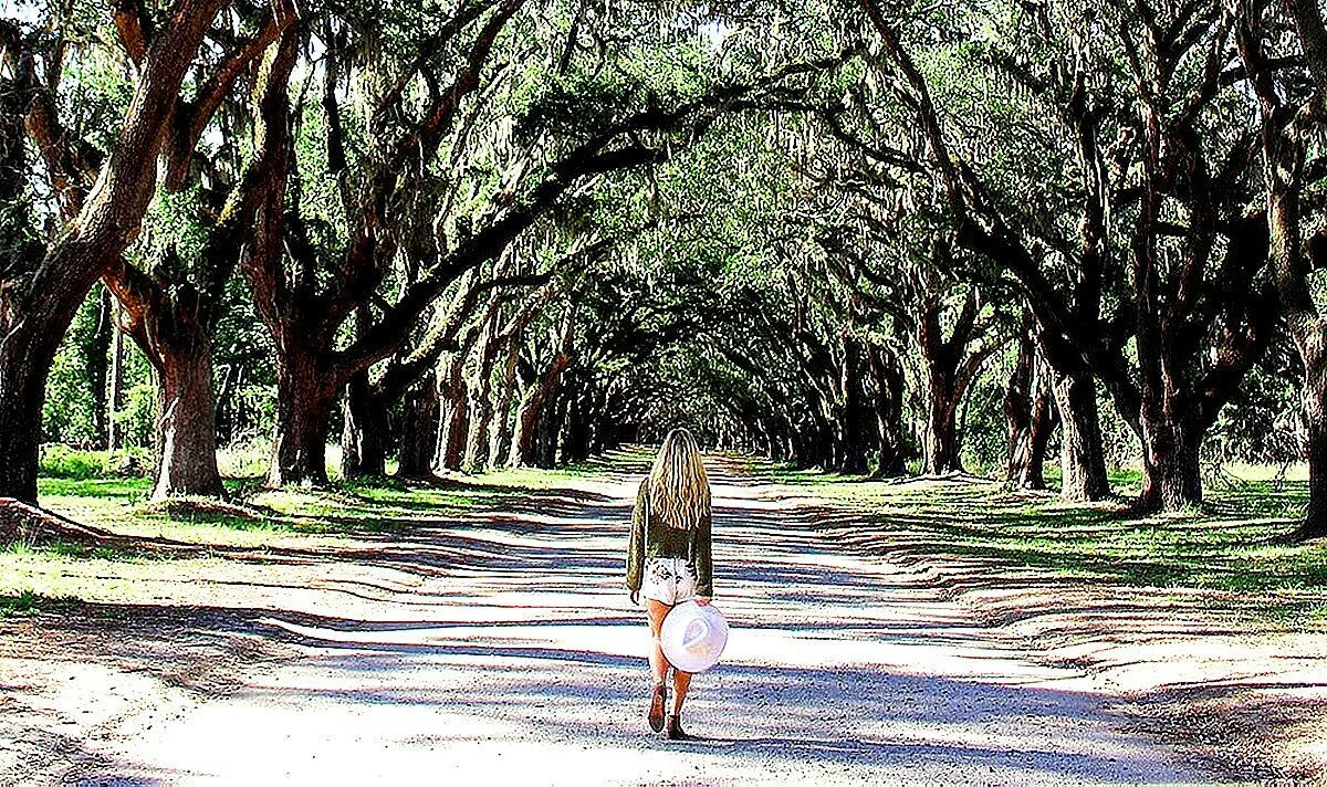 Savannah gets