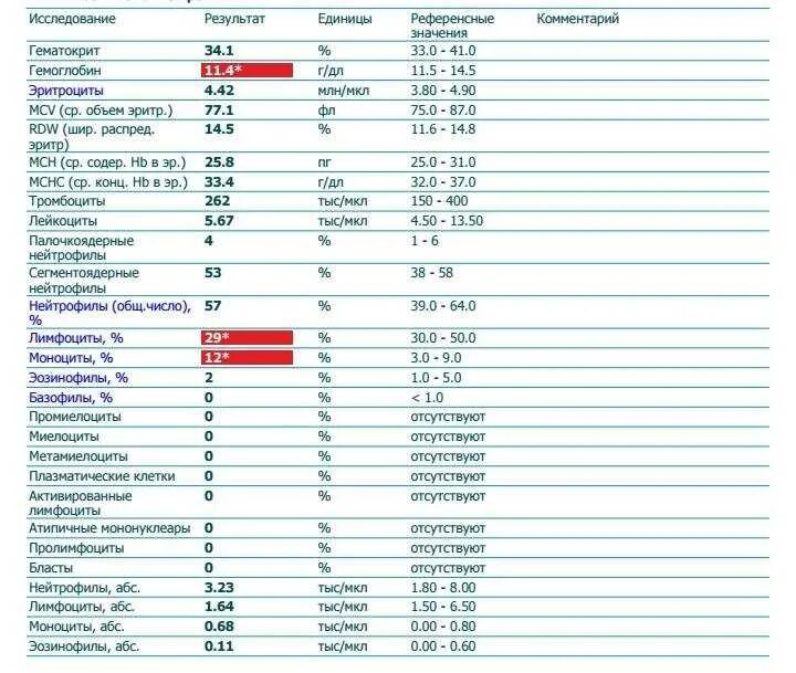Лимфоцит гемоглобин. Повышение эритроцитов, гемоглобина и лимфоцитов. Эритроциты в крови4. Лимфоцит гемоглобин. Общий анализ крови лейкоциты и тромбоциты норм.