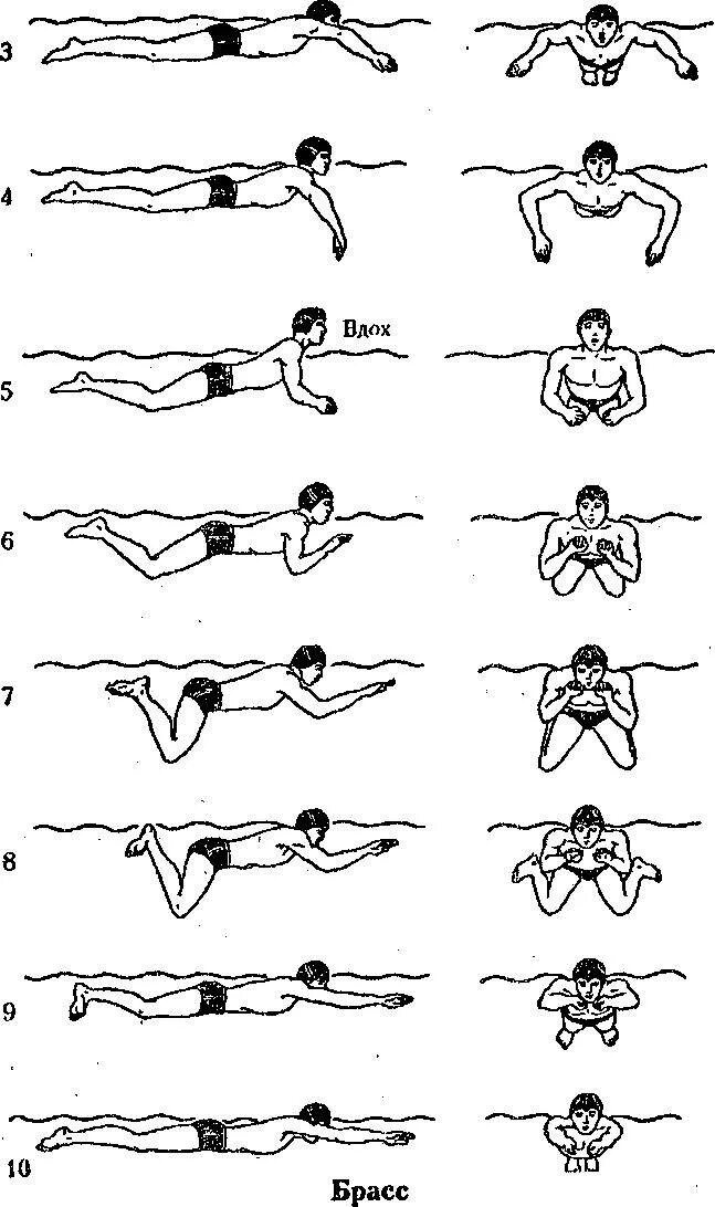 Как научиться плавать на воде. Схема плавания брассом. Стиль плавания Кроль брасс. Брасс техника плавания схема. Баттерфляй плавание техника.