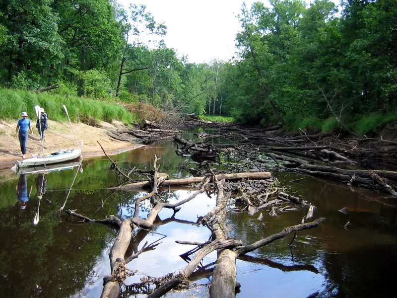 река кикенка лесное озеро. река бужу. разлив реки бужа. река бужу. река бужа фото.