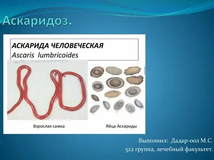 Аскаридоз группа
