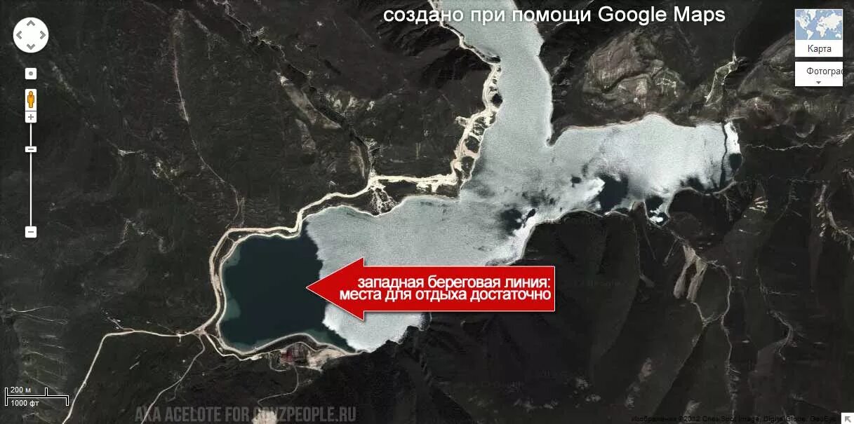 Ам озеро на карте 3 животных-вселенца, с которыми в США не знают, как бороться Природа и не только