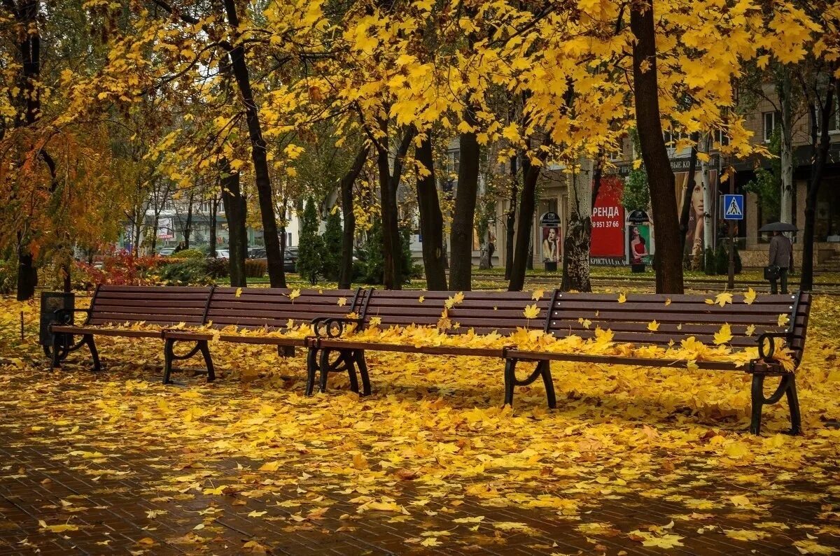 Осенний б р. Осень бульвар. донецк парк осенью. осенний бульвар. осенний донецк.