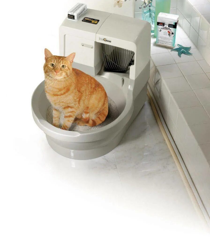 Как приучить котенка. Унитаз-робот catgenie 120. Самоубирающийся лоток для кошек. Автоматический унитаз для кошек Catolet. Туалет для кошек самоочищающийся.