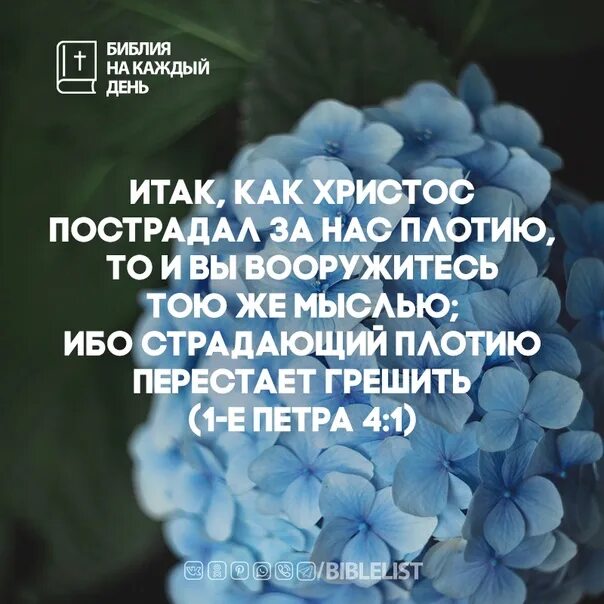 Страдающий плотью перестает грешить. Страдающий плотью перестает грешить